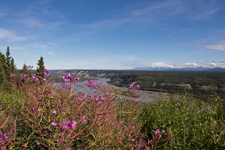 On the Denali Highway