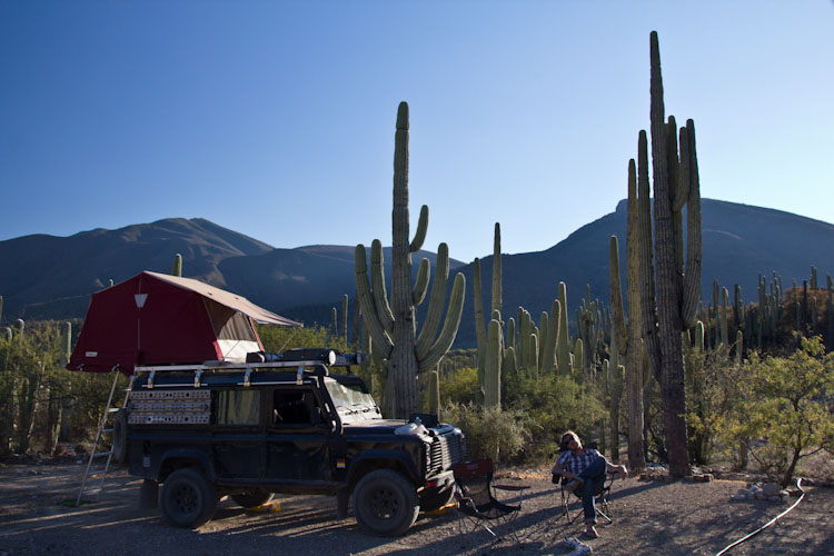 Campsite between cactus