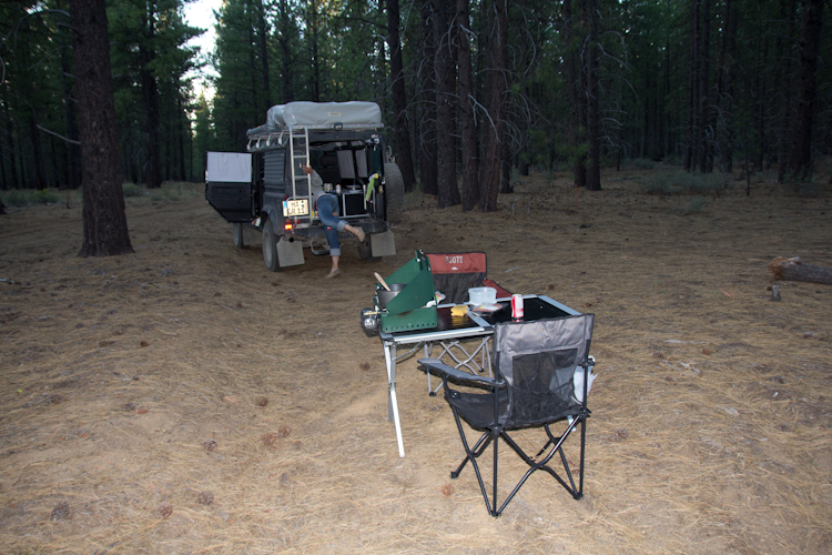 Pine Wood Camping