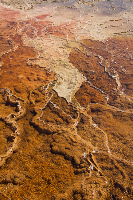 Structures of Grand Prismatic Spring