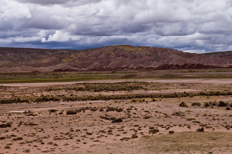 Bolivia: La Paz to Sajama NP - Landscape