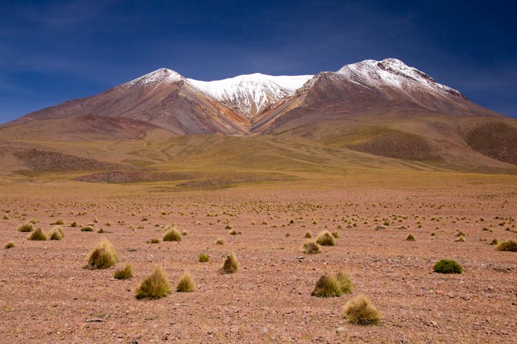 Bolivia: Altiplano - on the way