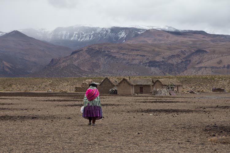 Bolivia: Sajama NP - lonely life