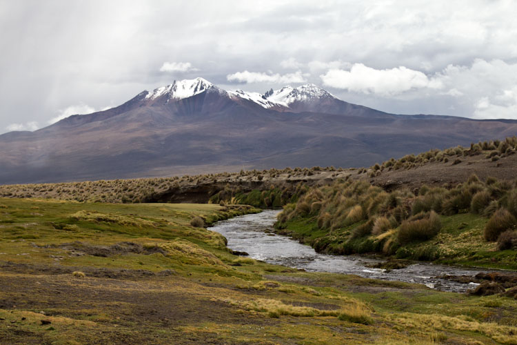Bolivia: Sajama NP - Volcano view