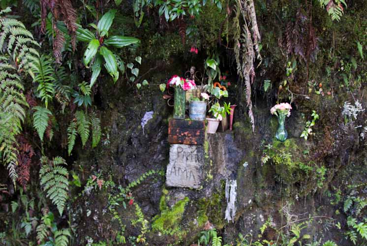 Bolivia: Camino de la Muerte - another victim of this road