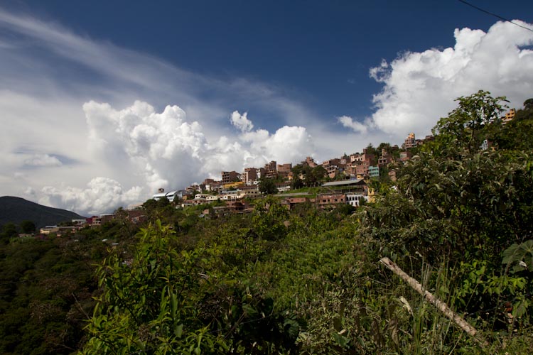 Bolivia: Yungas - Coroico