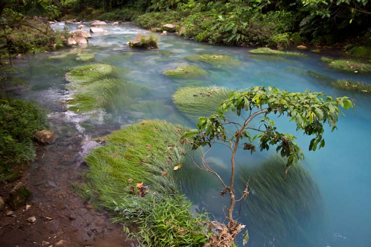 Costa Rica: Central Highlands - NP Tenorio: Rio Celeste