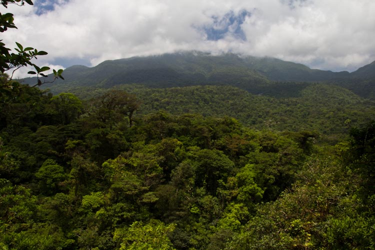 Costa Rica: Central Highlands - NP Tenorio: view to the volcano Tenorio