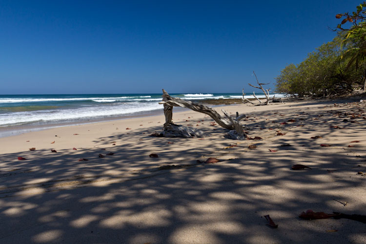 Costa Rica: Peninsula de Nicoya - Playa Avellana: just beautiful ...