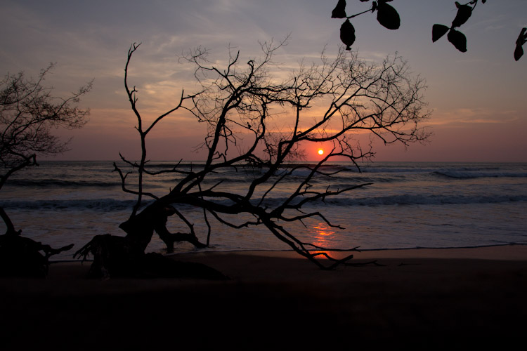 Costa Rica: Peninsula de Nicoya - Playa Avellana: sunset