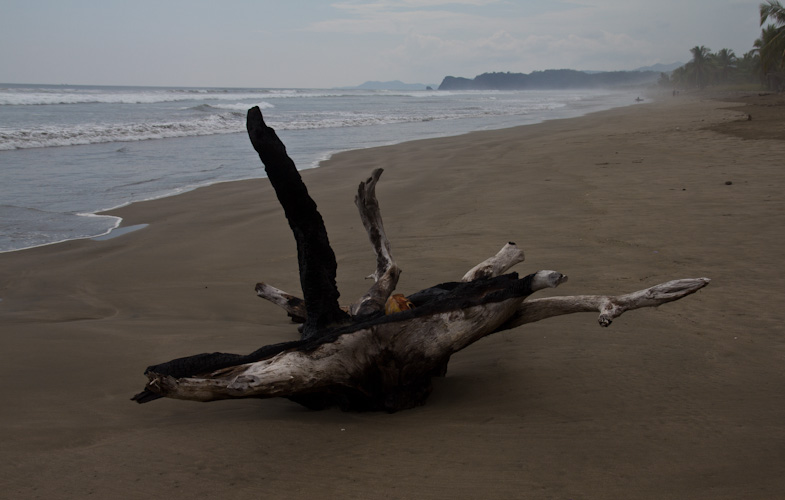 Costa Rica: Peninsula de Nicoya - PlayaOsterial