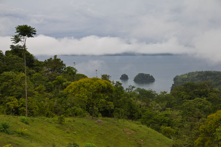 Costa Rica: Peninsula Osa - Goodbye Osa