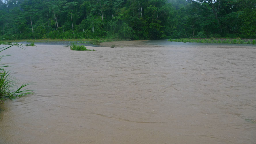 Costa Rica: Peninsula Osa - NP Corcovara: in between a huge River