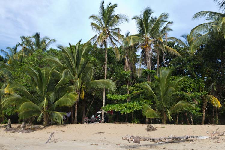 Costa Rica: Carribean Site - Punta Uva: campsite