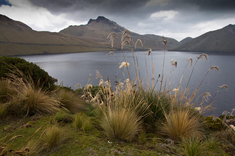 Ecuador: Laguna Mojanda