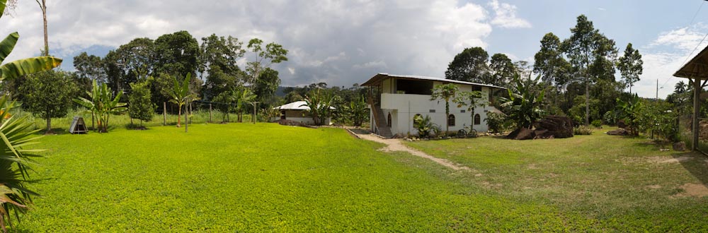 Ecuador: Mishualli - Banana Lodge: Panorama