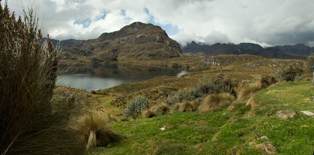 Ecuador: NP Cajas - Panorama