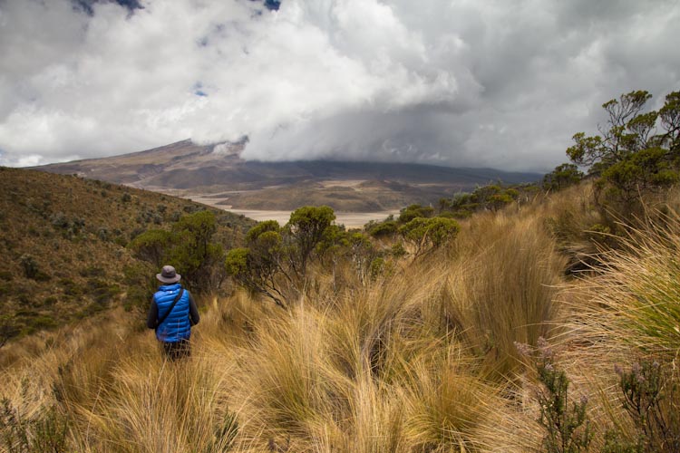 Ecuador: NP Cotopaxi - Ruminahui Crater Hike