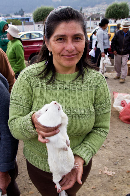 Ecuador: Otavalo - Saturday Animal market: yummi guinea pigs "gigante"