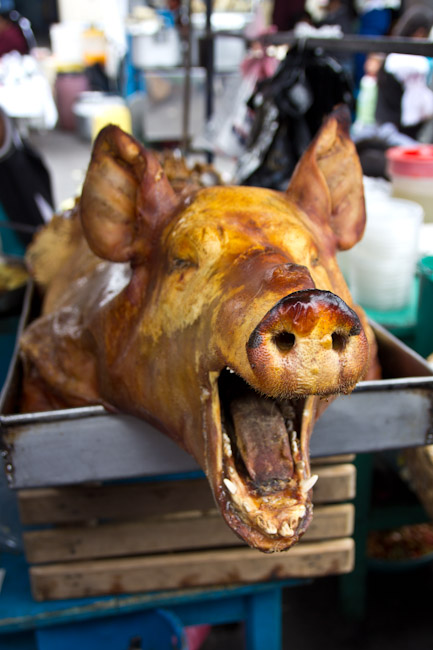 Ecuador: Otavalo - ... roasted pig