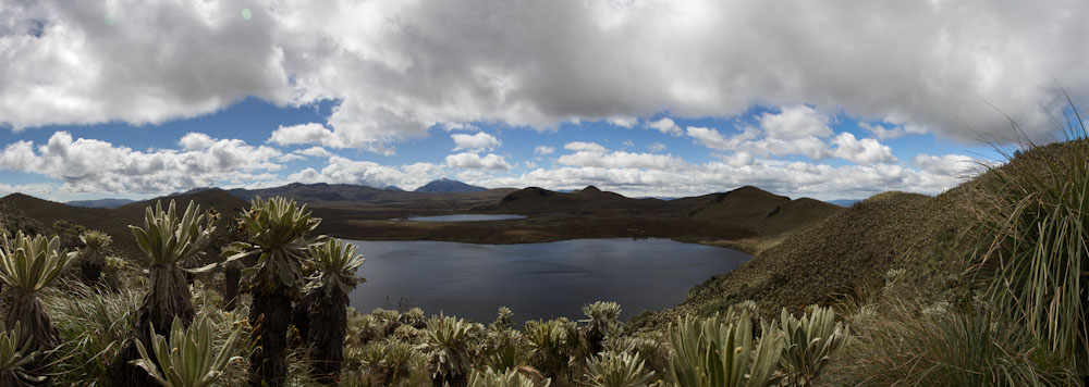 Ecuador: Reserva El Angel - Section El Voladero: Lagunas Panorama