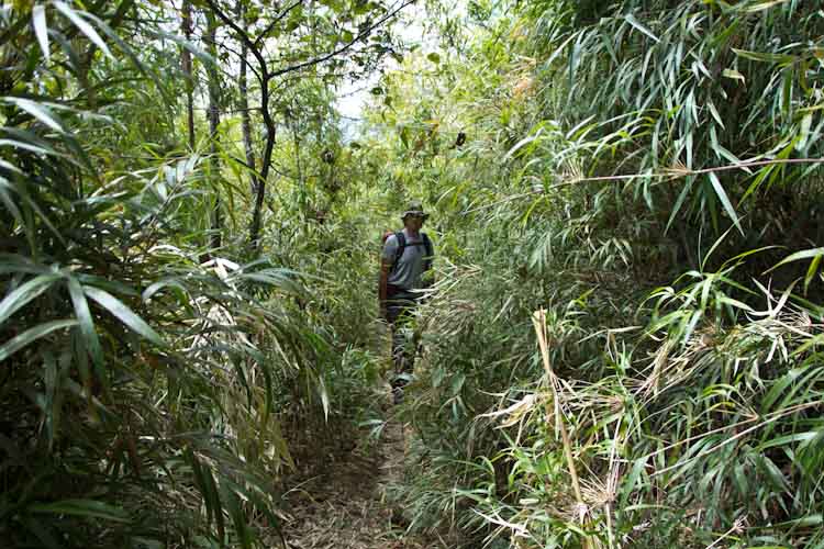 Ecuador: Reserva Pasochoa - Hike to the Crater