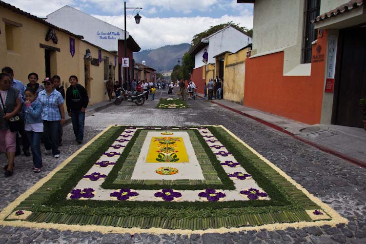 A huge and nice Alfombra