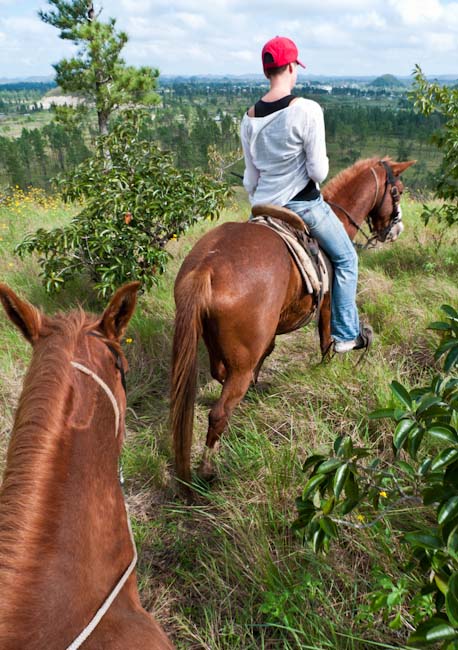 Horse Riding :-)