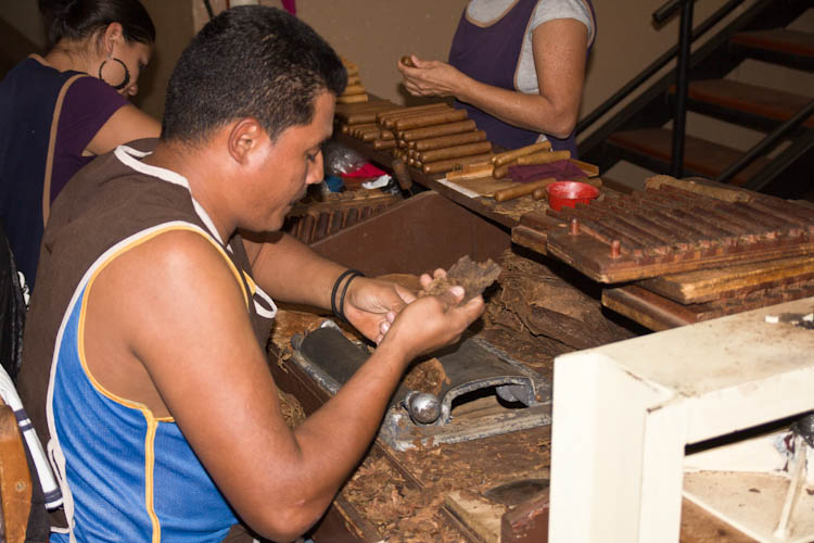 Rolling the cigars ...