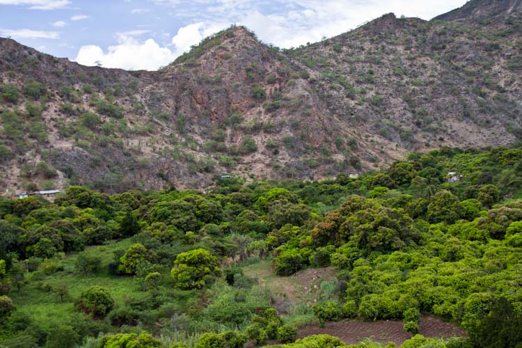Peru: Pass Barro Negro - Leimebamba to Celendin: green Valley