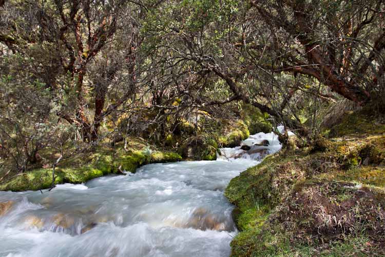 Peru: Cordillera Blanca - Laguna 69 Hike: nice stream