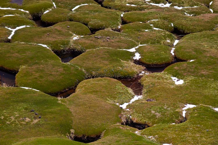 Peru: Cordillera Blanca - Pass Yanashalla: green structures