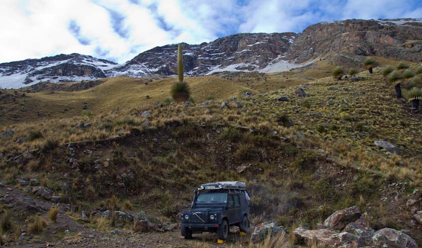 Peru: Cordillera Blanca - Puya Raimondii: Campspot