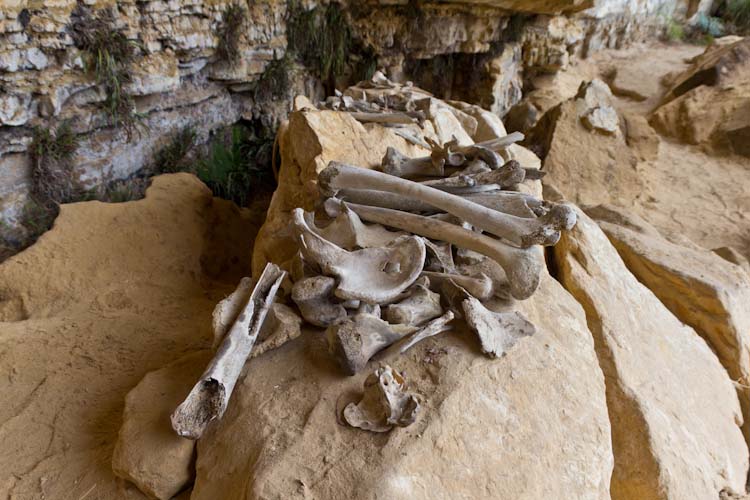 Peru: Karajira Tomb - Bones