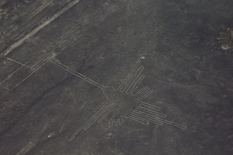 Peru: Nazca - Nazca Lines: Colibri
