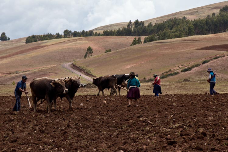 Peru: Sacred Valley - Working the simple way