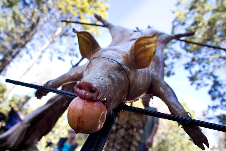 Argentina: Bariloche - the pork