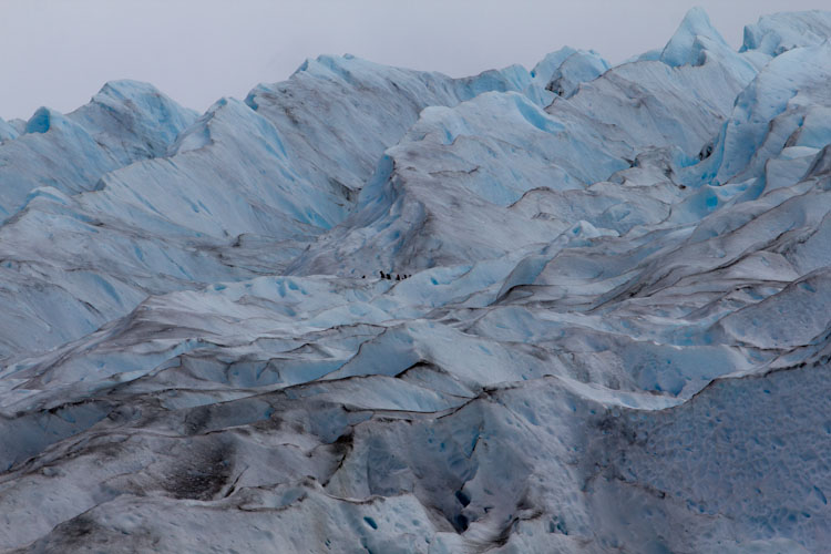 Argentina: Perito Moreno - Hikers on Ice