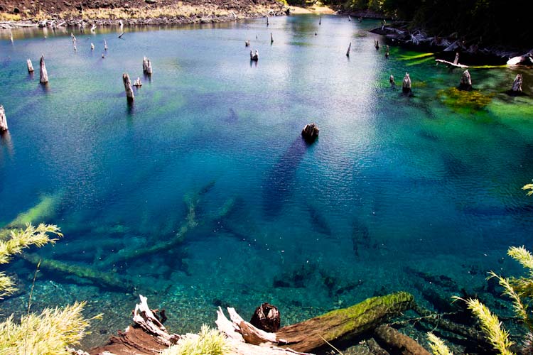 Chile: NP Conguillio - Lago Arcoirirs