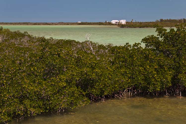 USA: Florida - The Florida Keys