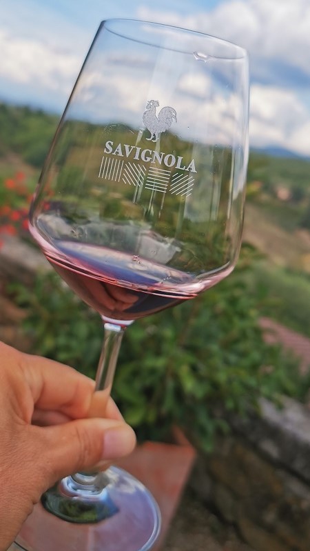 Weingut Savingola