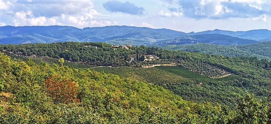 Landschaft in der Chianti Region